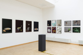 Ausstellung meines Diplomes am FbG der HS Darmstadt